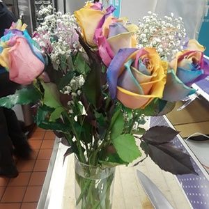 Meet your Posher, Barbara